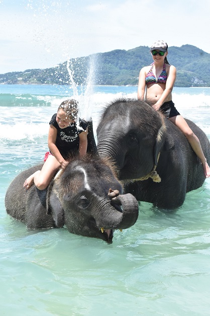 プーケット 海で象さんと泳ぐ エレファントスイム 象乗り ラッキービーチ ウエディングプランあり オプショナルツアー