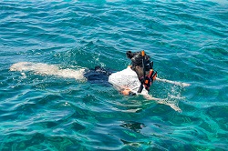 ラチャ島シュノーケリング