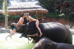 �v�[�P�b�g�ۏ��J�^�r�[�`